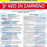 III AVIS IN CAMMINO