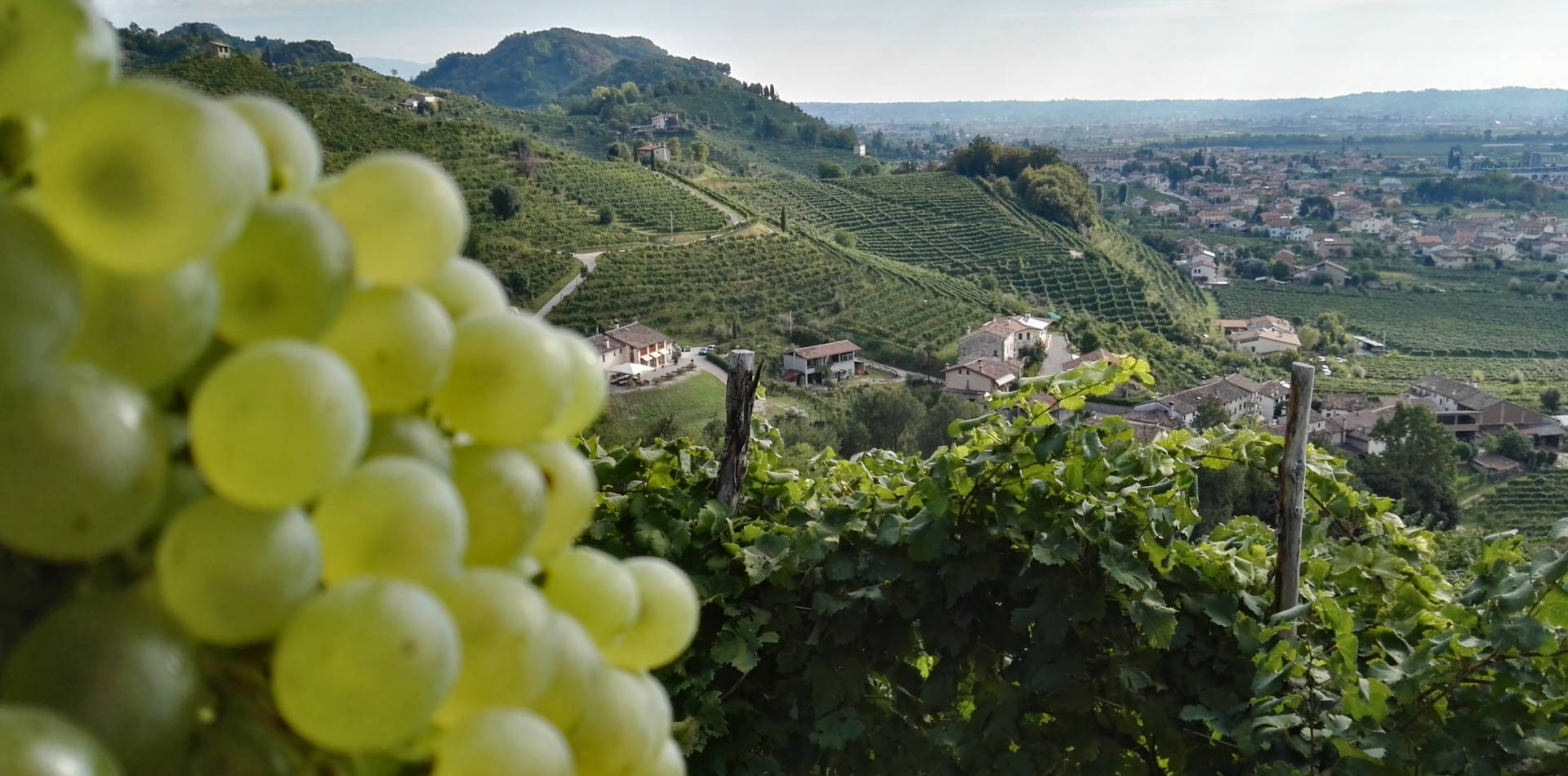 Colline Valdobbiadene